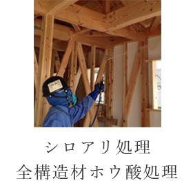 シロアリ処理全構造材ホウ酸処理