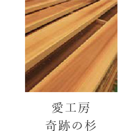 愛工房奇跡の杉