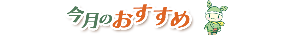 今月のおすすめ